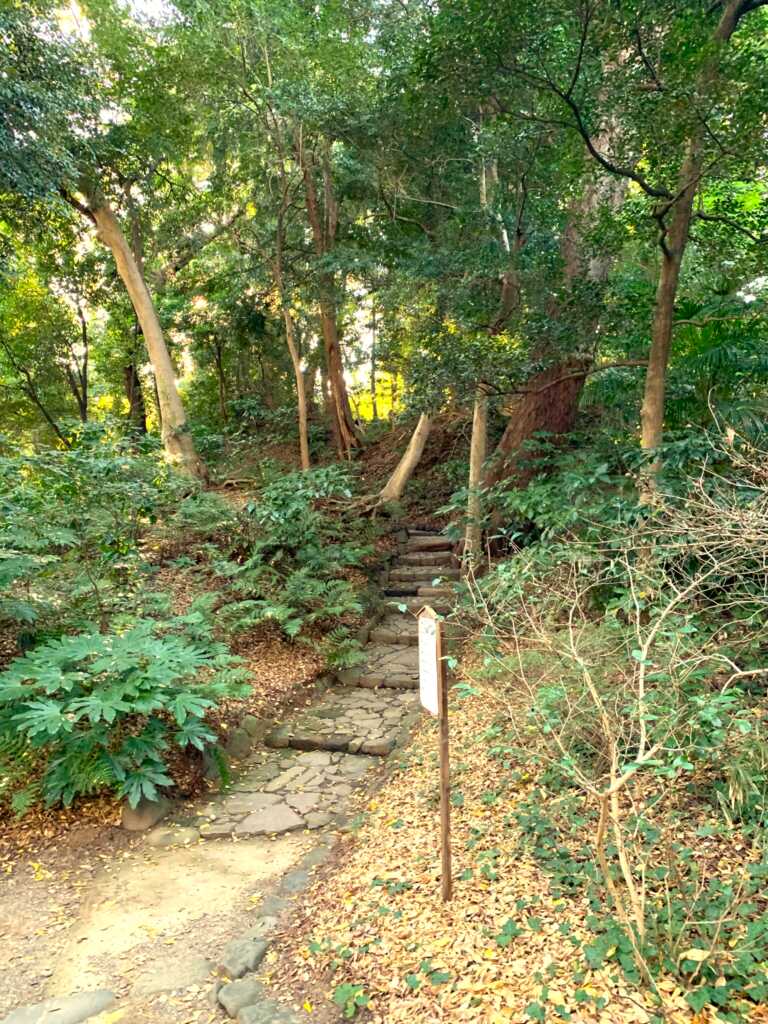 小石川後楽園
