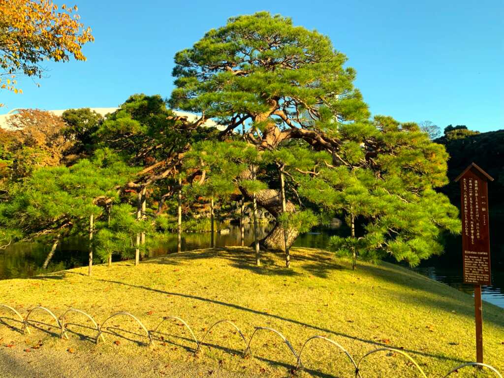 小石川後楽園