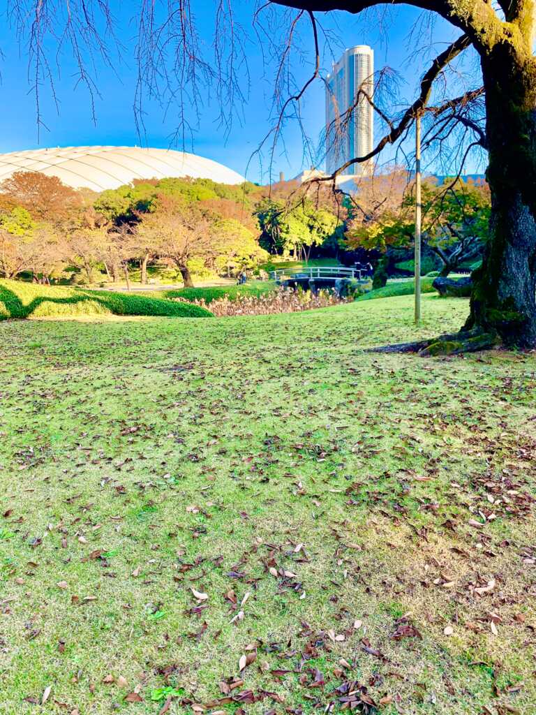 小石川後楽園