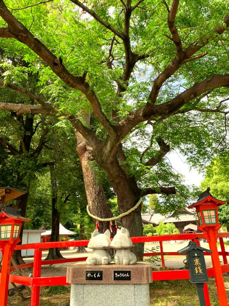 東松山