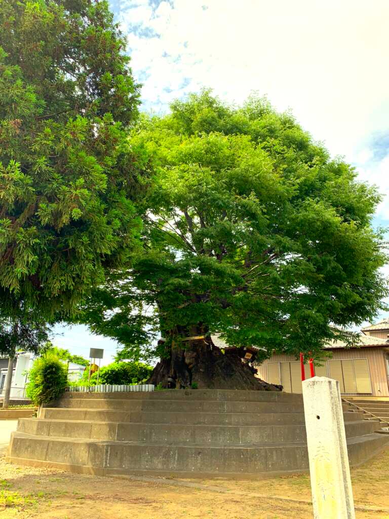 八幡神社