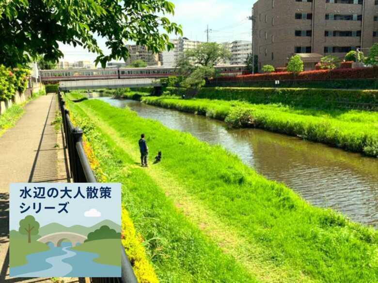 水辺の大人散策シリーズ 野川・国分寺崖線