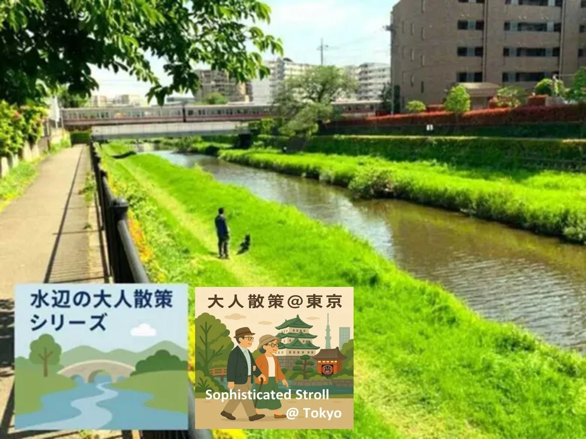 水辺の大人散策シリーズ　野川・国分寺崖線