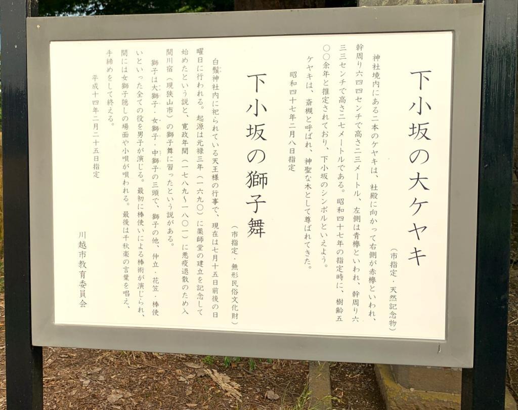 大ケヤキ