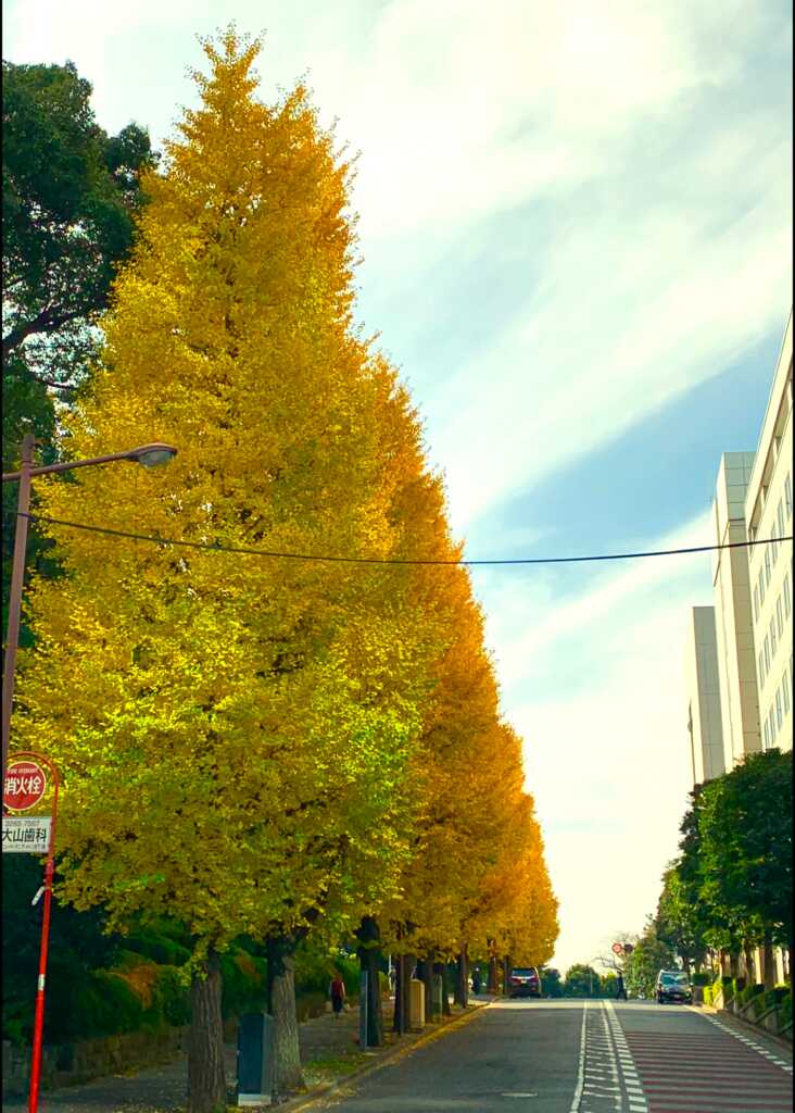 紀尾井町
