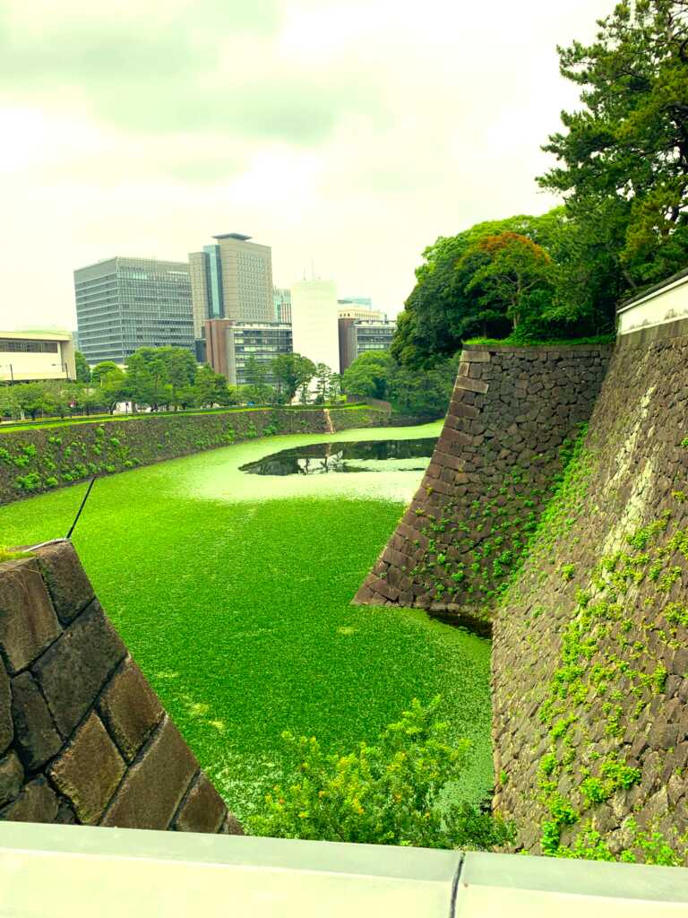 江戸城