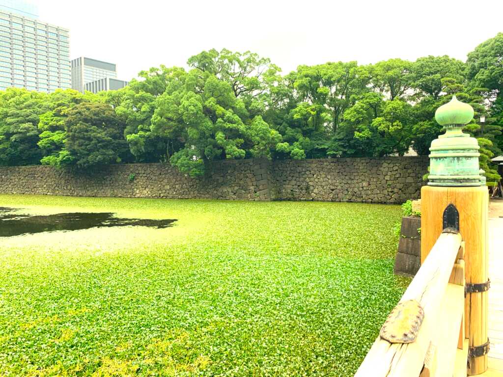 江戸城