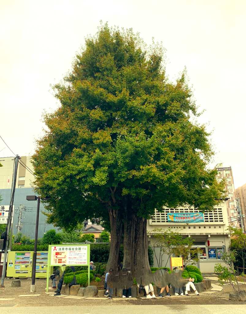 浅草寺