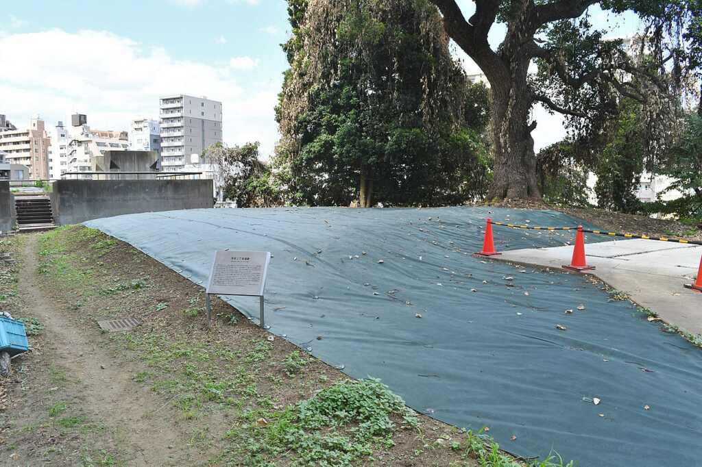 弥生町遺跡