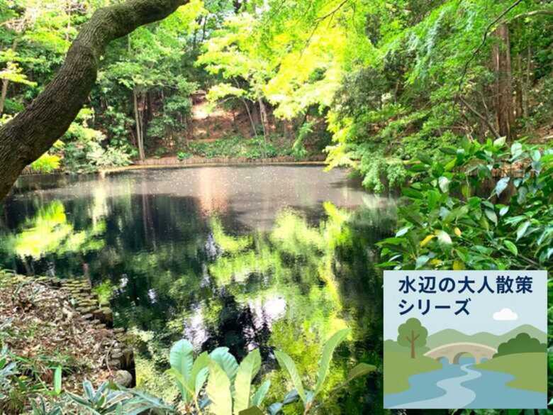 水辺の大人散策シリーズ　野川・国分寺崖線