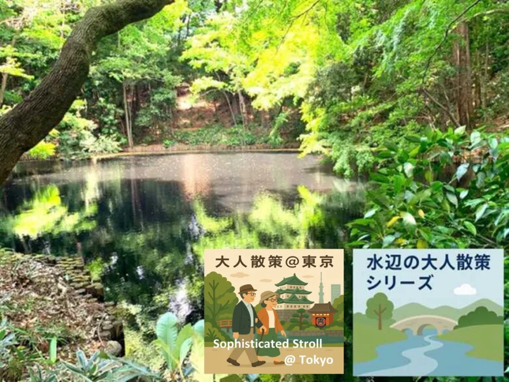 水辺の大人散策シリーズ　野川・国分寺崖線