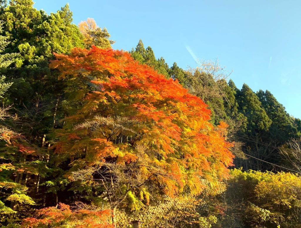 西沢渓谷