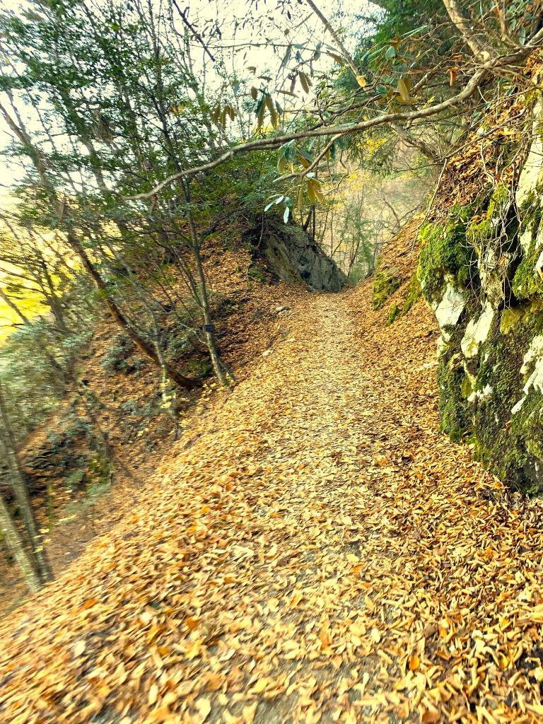 西沢渓谷