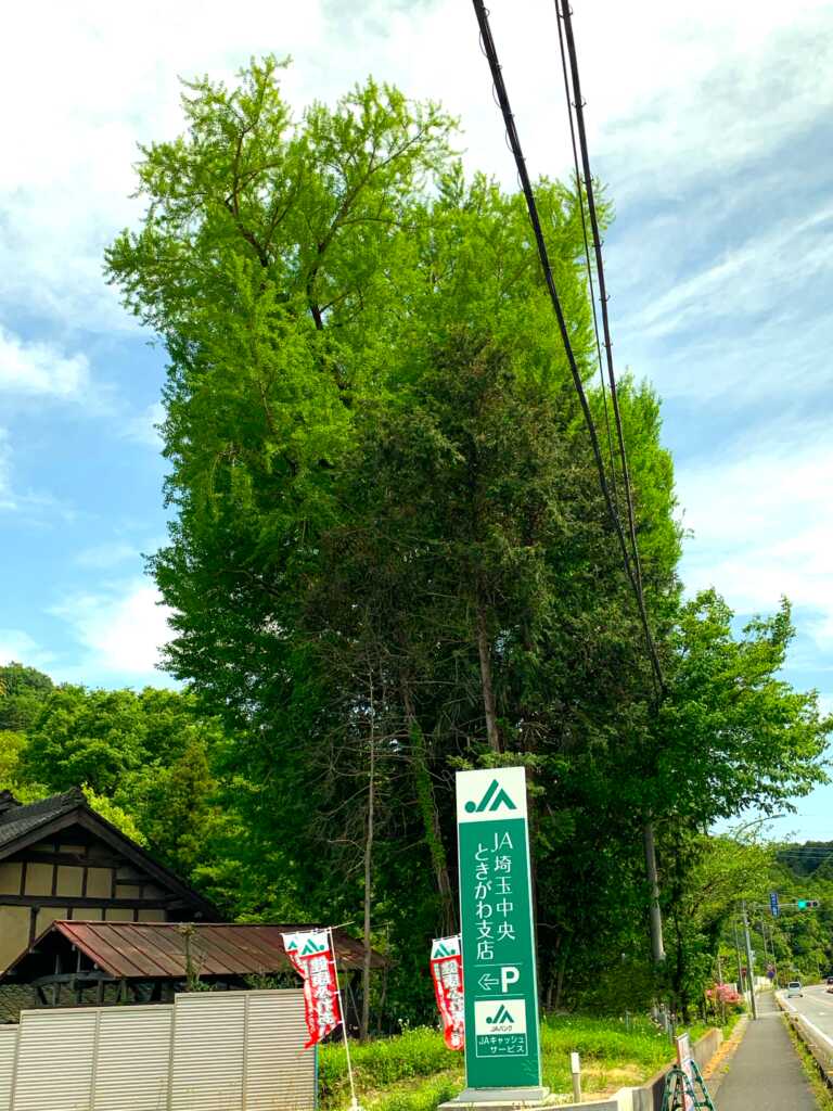 明覚