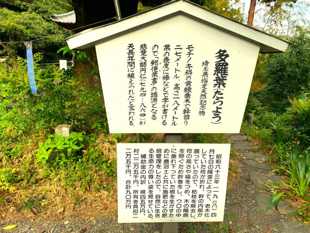 慈光寺