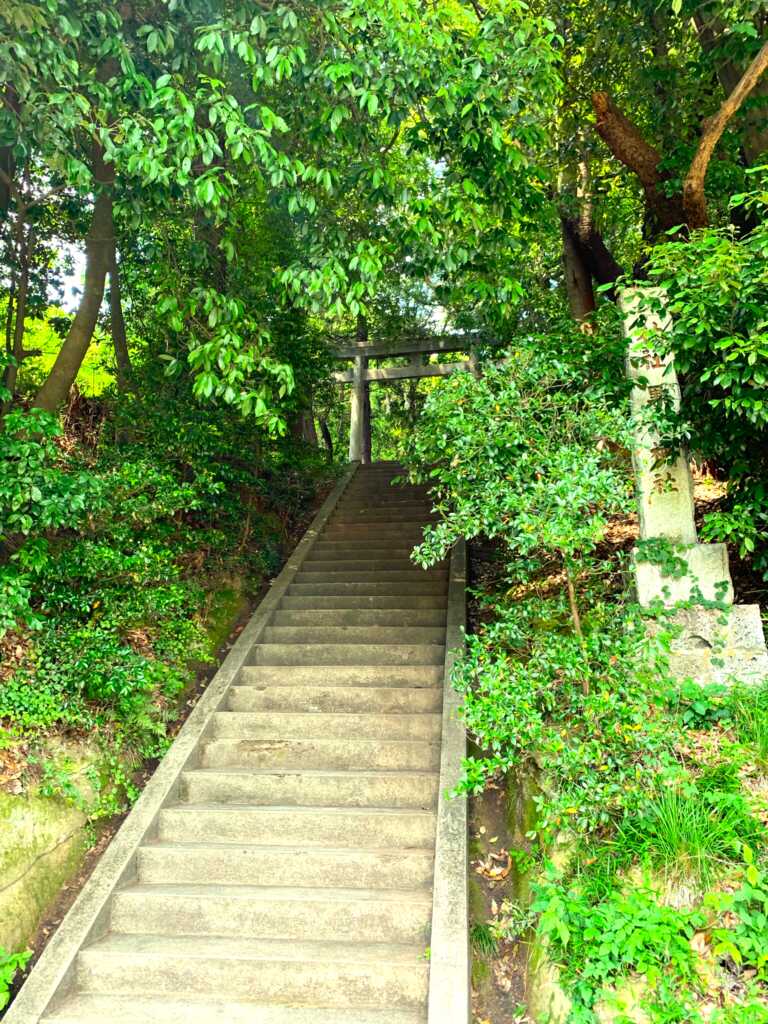 巡礼街道