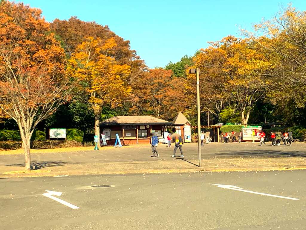 森林公園