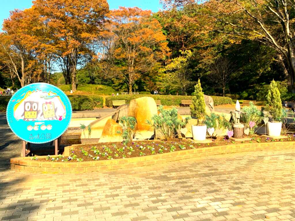 森林公園