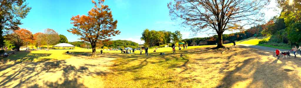 森林公園