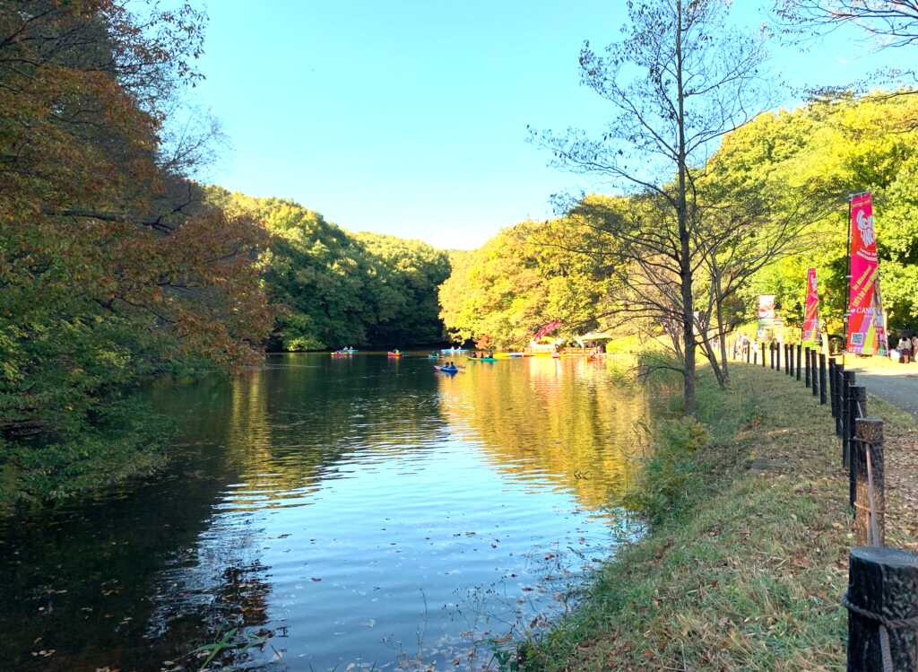 森林公園
