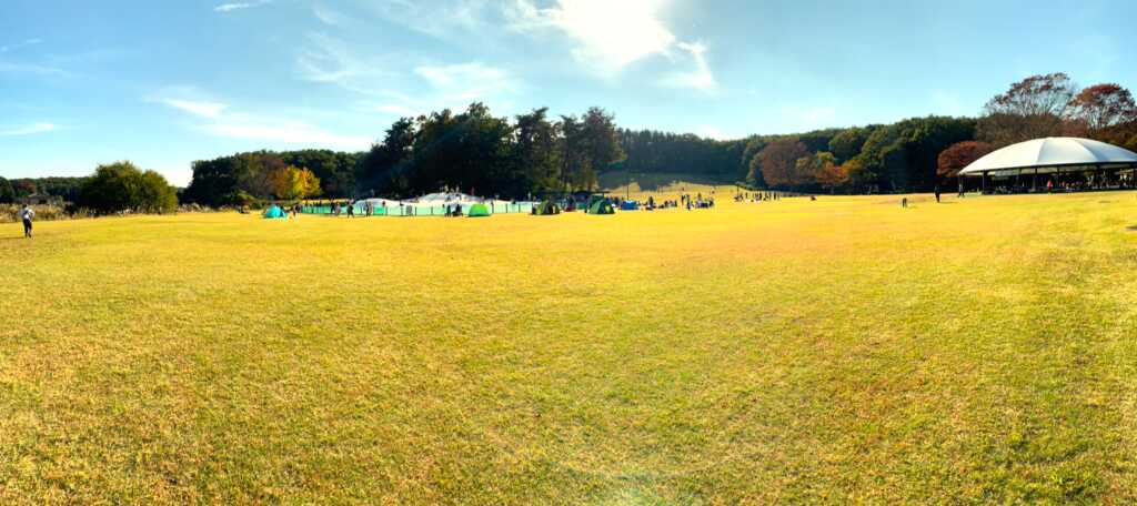 森林公園