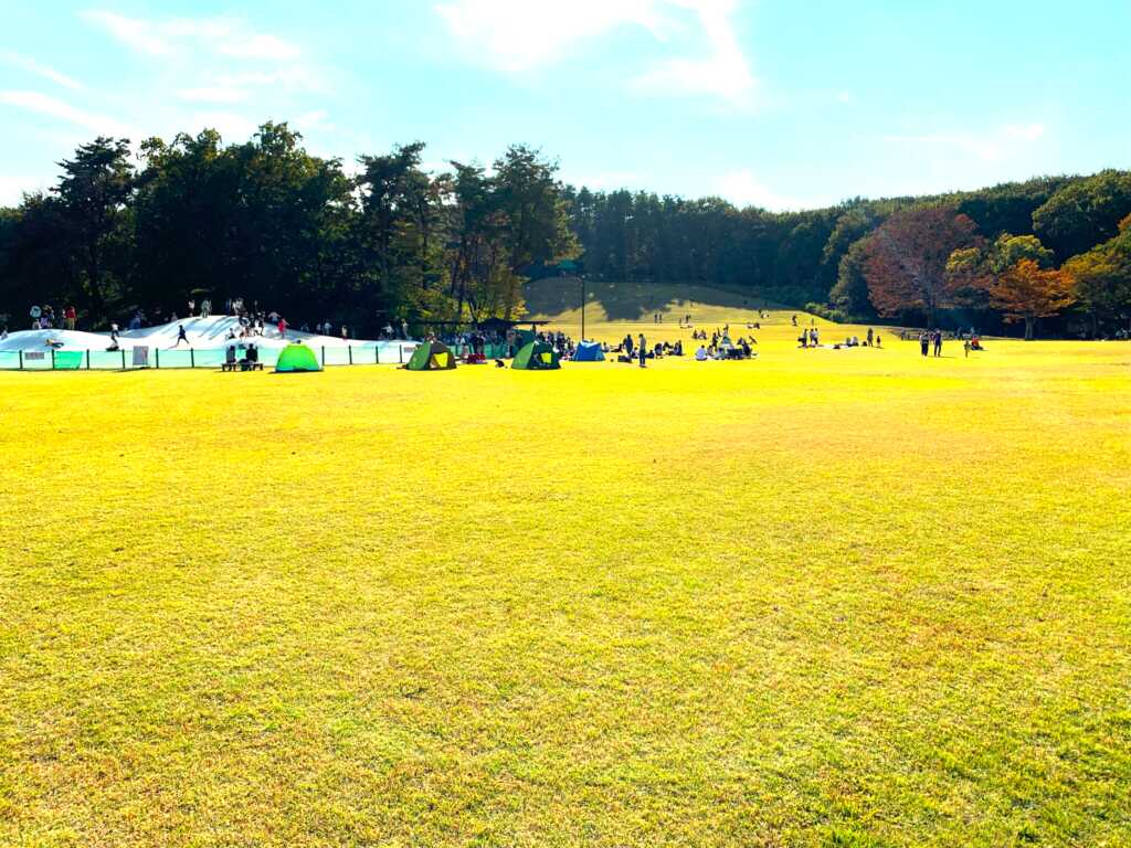 森林公園