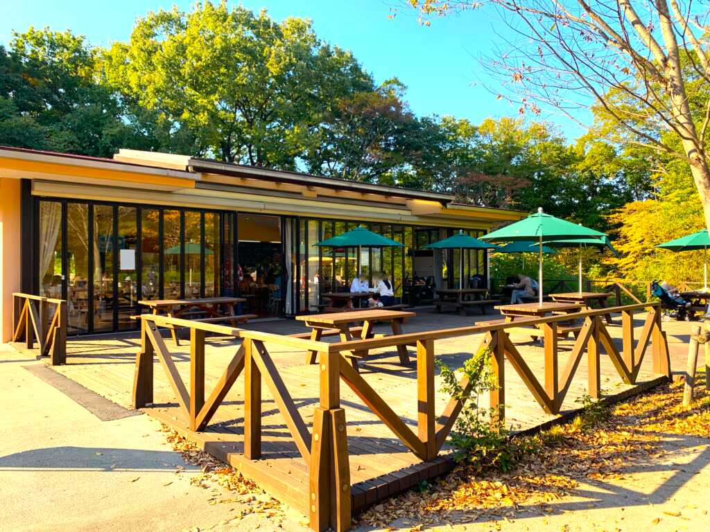 森林公園