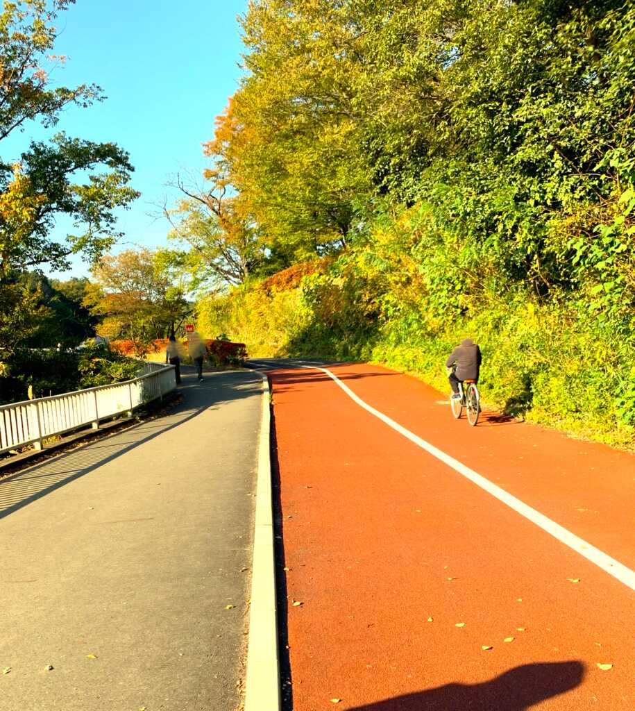 森林公園