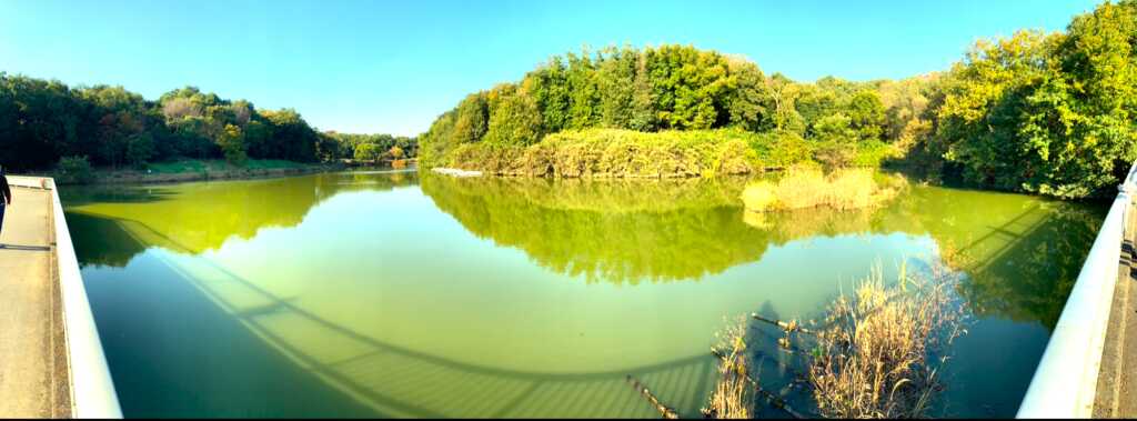 森林公園