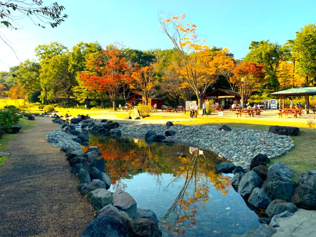 森林公園