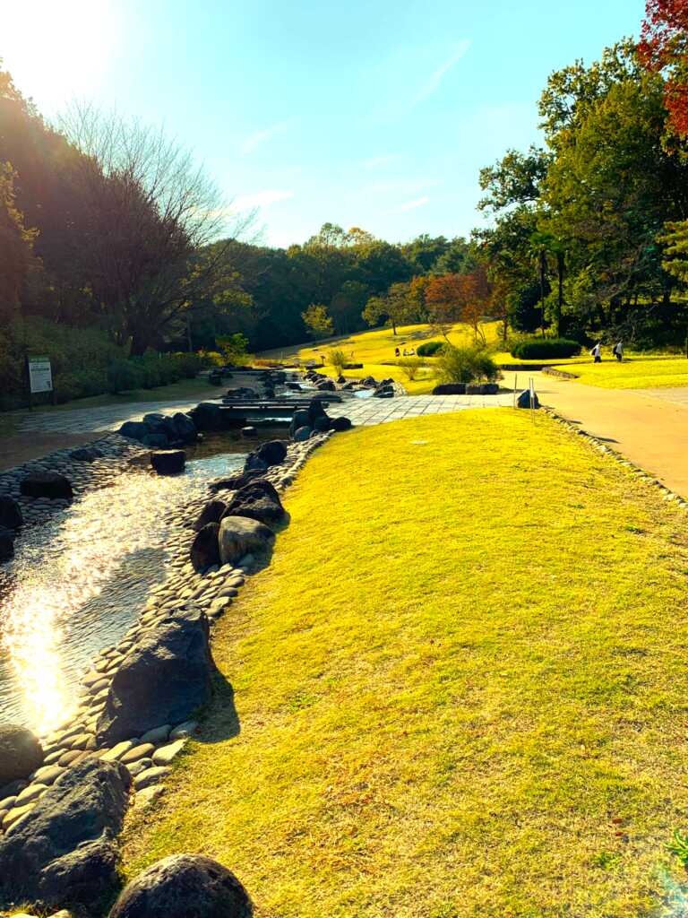 森林公園
