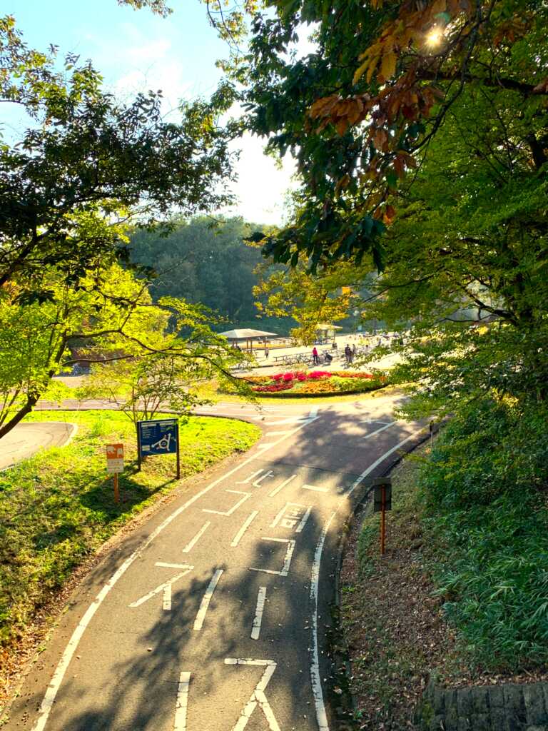 森林公園