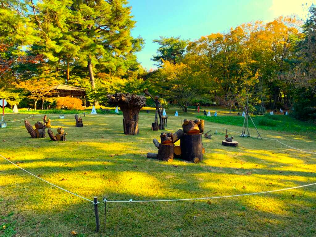 森林公園