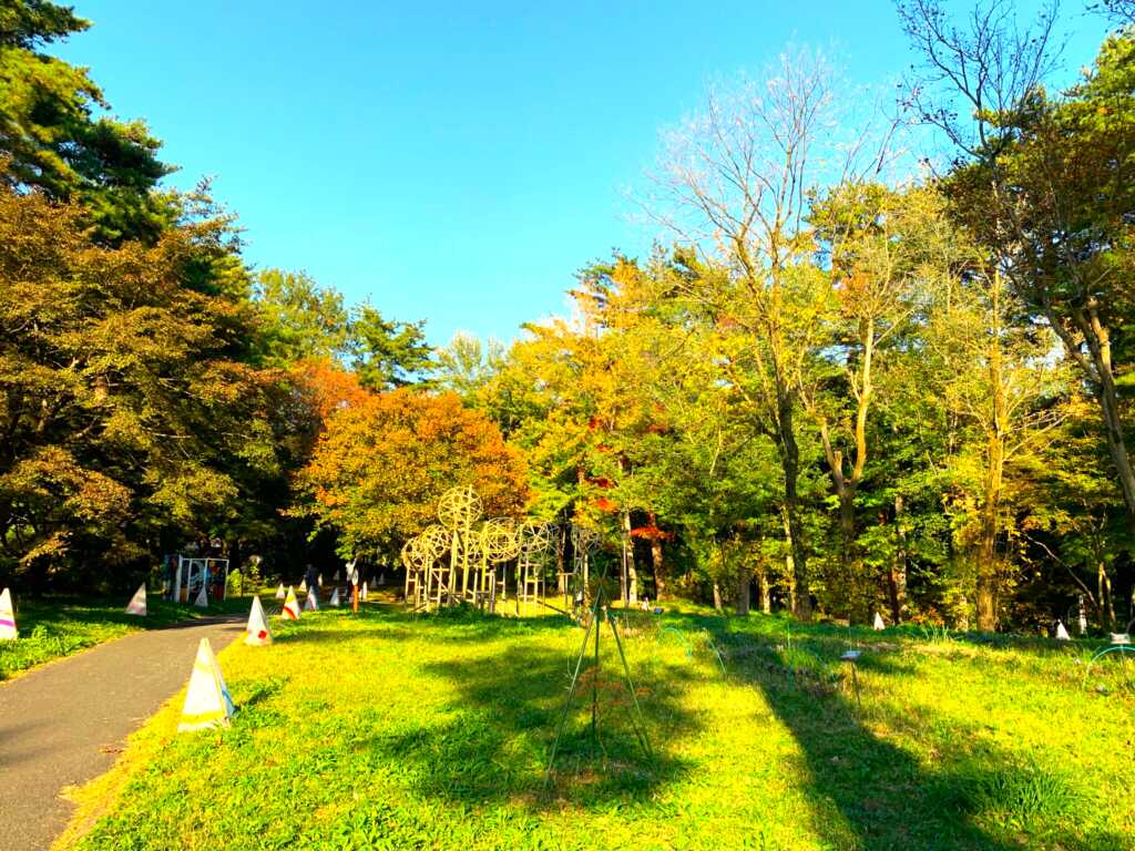 森林公園
