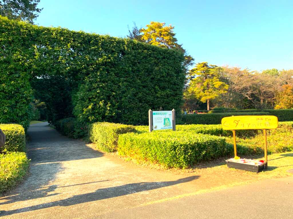 森林公園