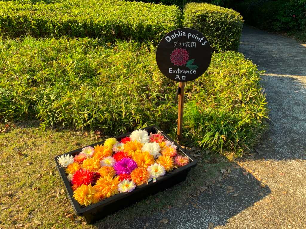 森林公園