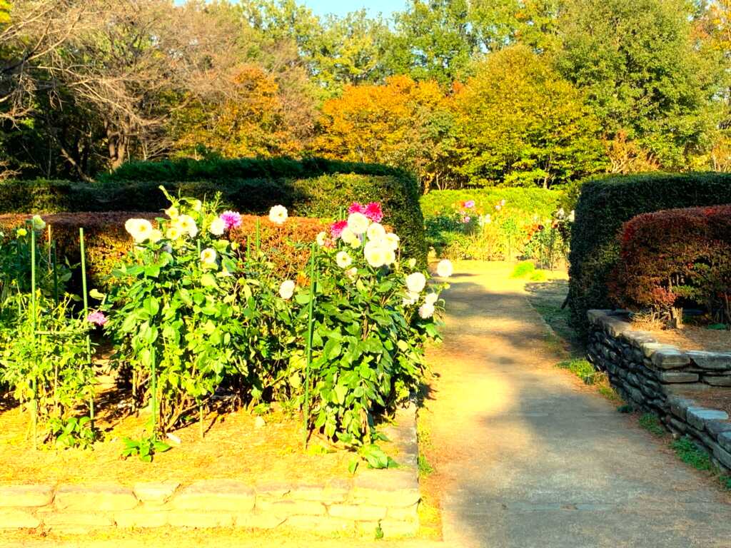 森林公園