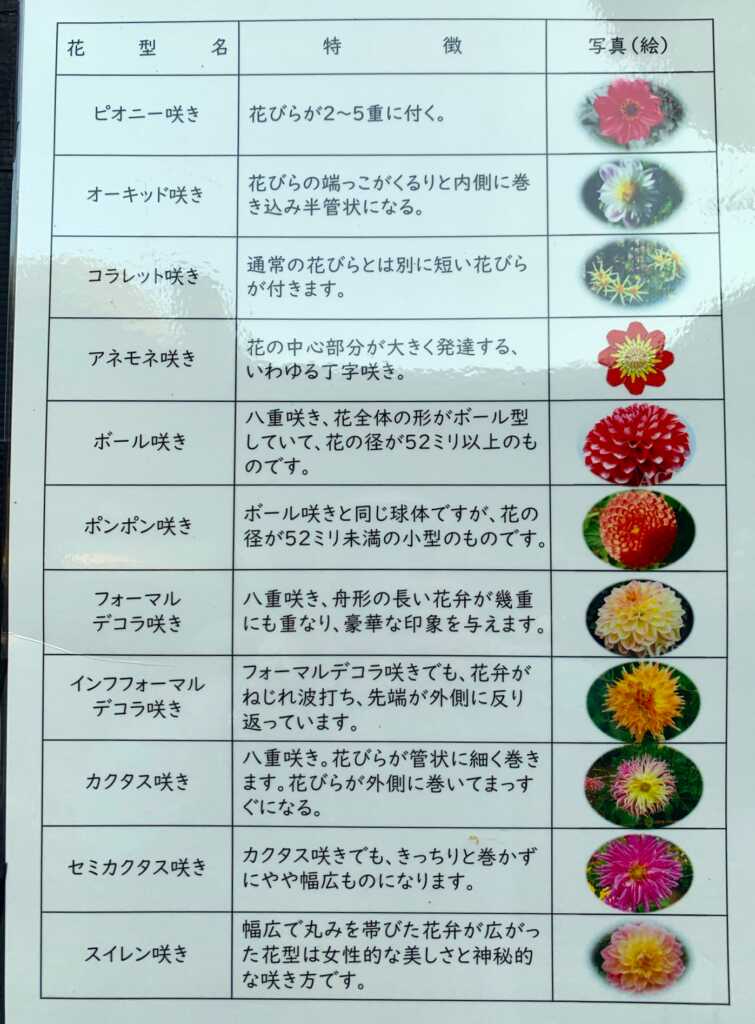 森林公園