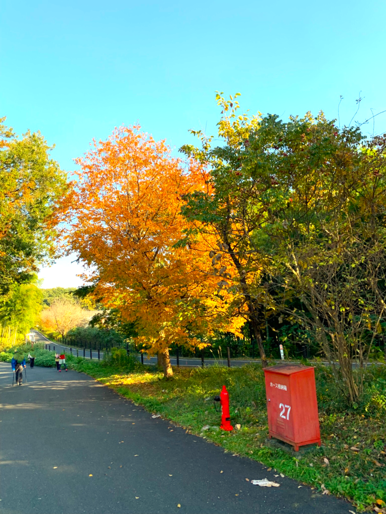 森林公園