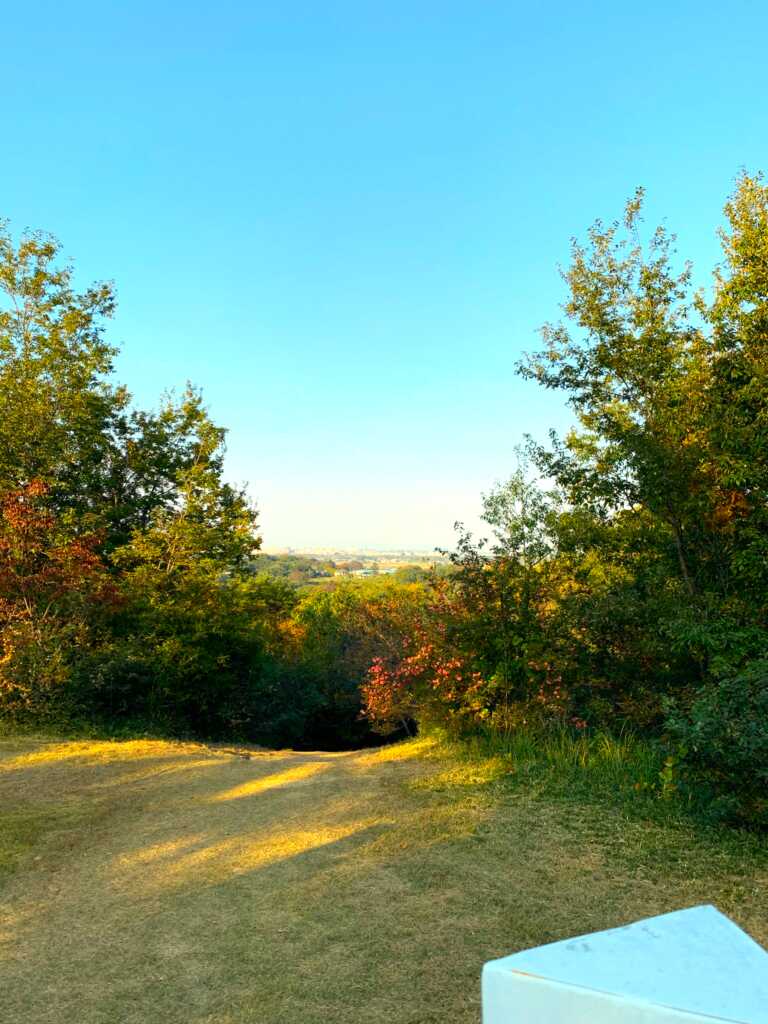 森林公園