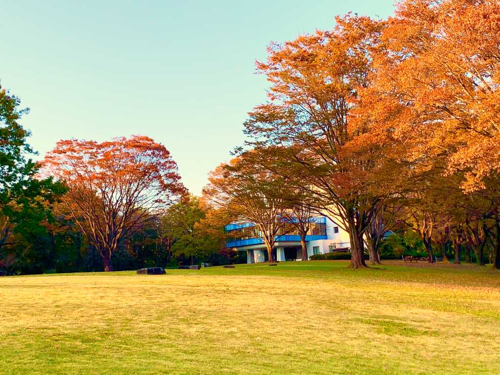 森林公園