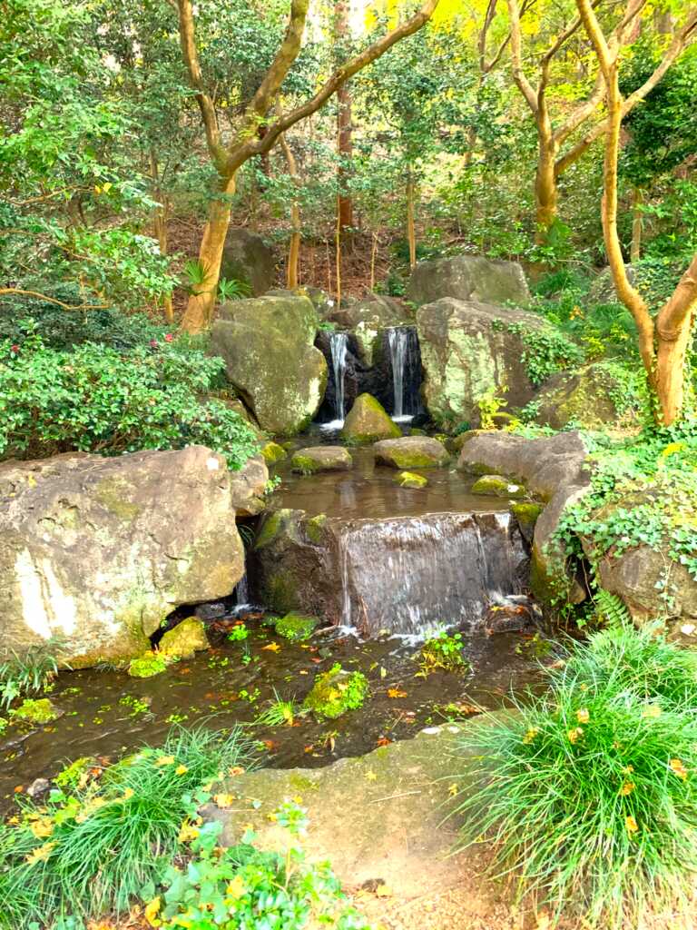 森林公園