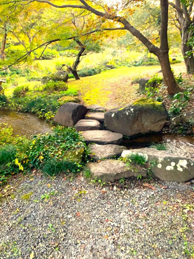 森林公園