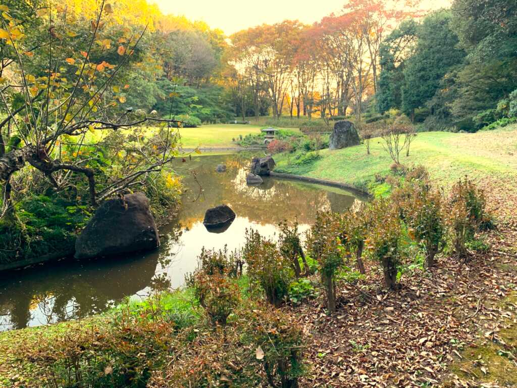 森林公園