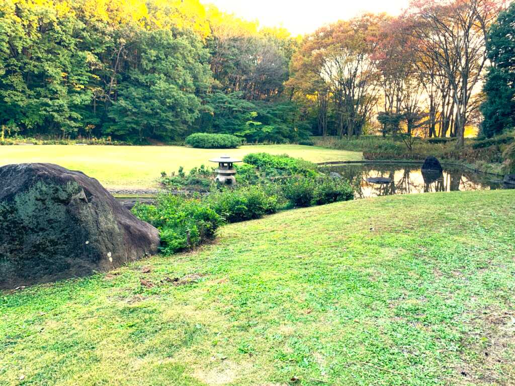 森林公園