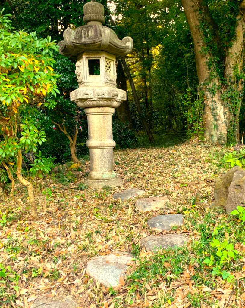 森林公園
