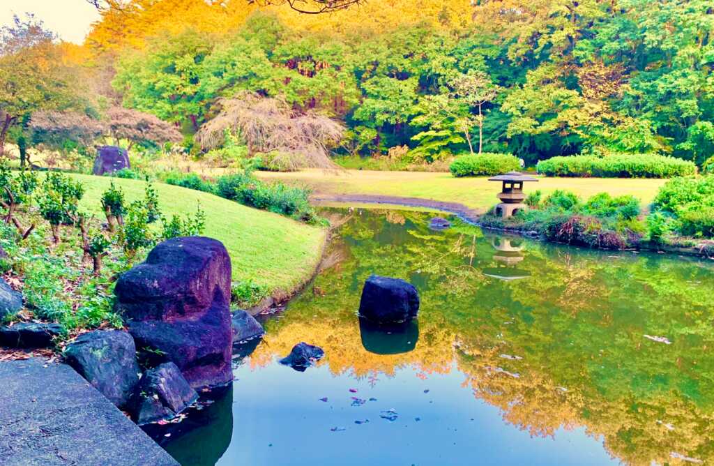 森林公園