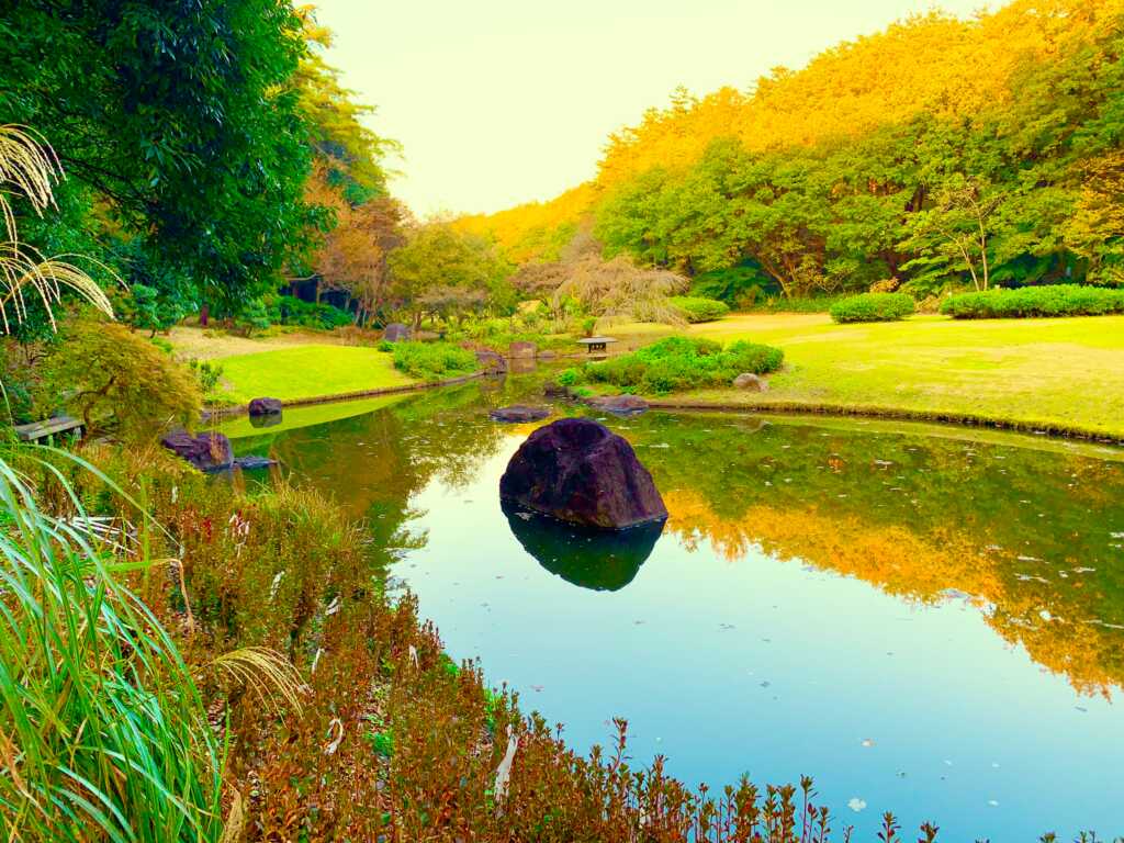 森林公園