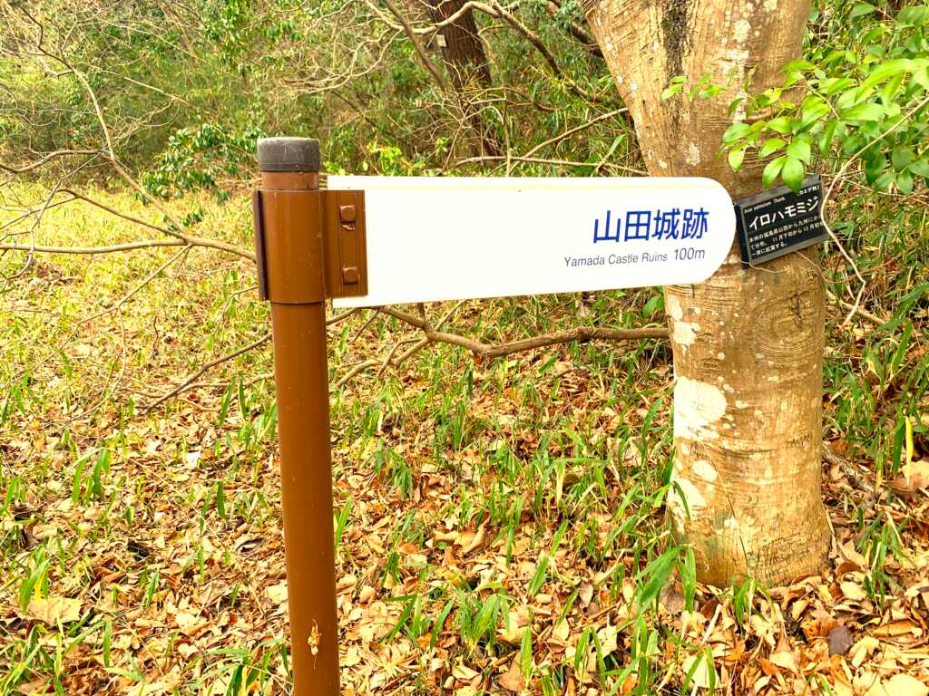 森林公園