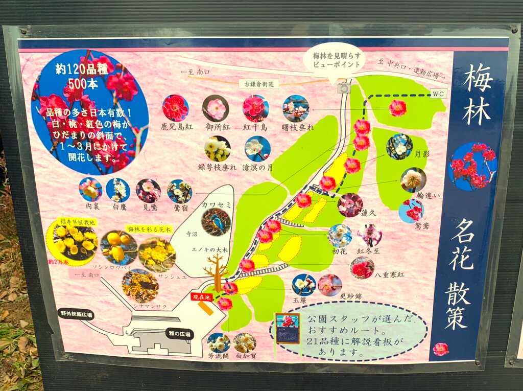 森林公園